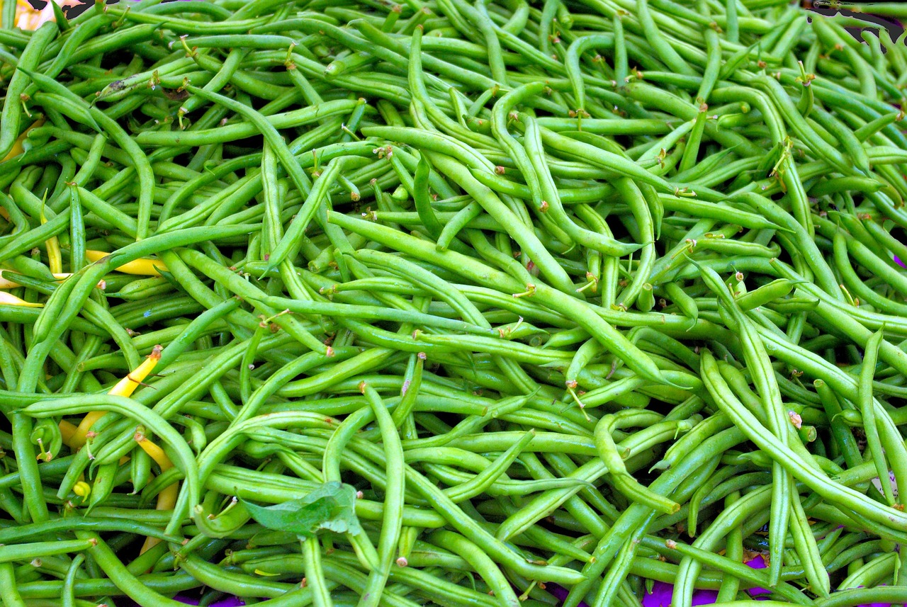 farm market beans, beans, green, dane, county, farmers, market, wisconsin, raw, delicious, agriculture, farm, vegetable, ingredient, nutrition, plant, garden, nature, food, produce, organic, harvest, healthy, legume, green vegetables, green farm, green farmer, green nutrition, green market, legume, legume, legume, legume, legume